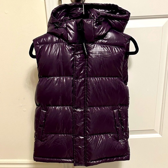 Aritzia Other - Brand new Aritzia Purple Hooded Vest